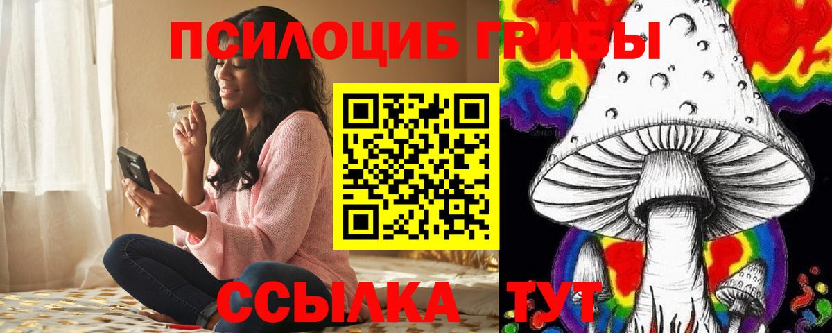 Псилоцибиновые грибы Psilocybe Ахтубинск